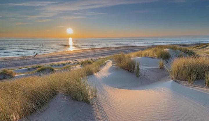 Bondi Beach Renesse Εξωτερικό φωτογραφία