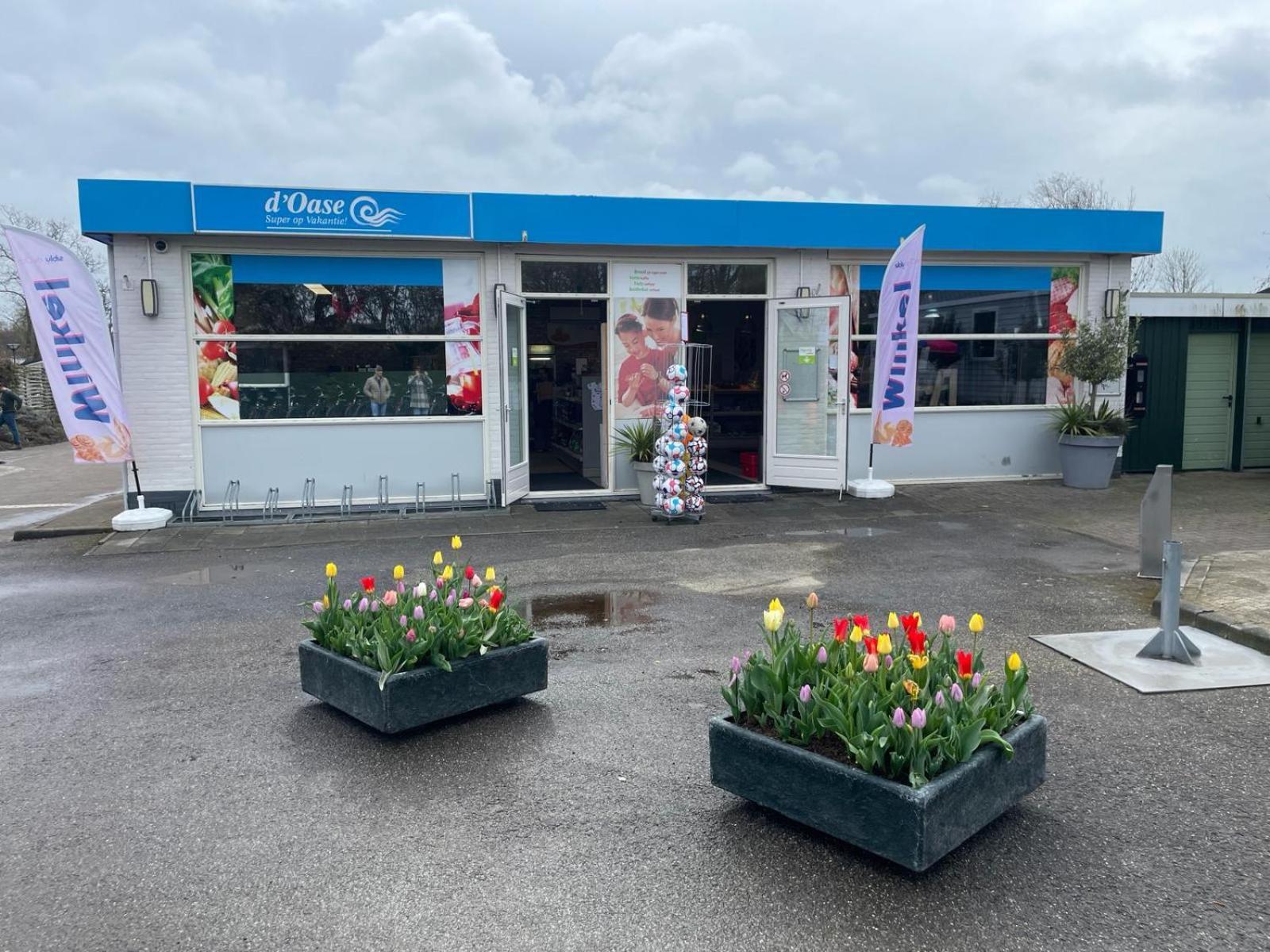 Bondi Beach Renesse Εξωτερικό φωτογραφία